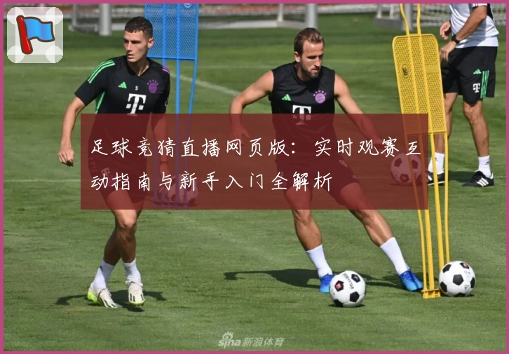 足球竞猜直播网页版：实时观赛互动指南与新手入门全解析