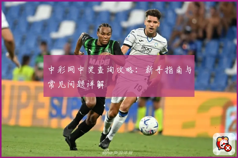 中彩网中奖查询攻略：新手指南与常见问题详解