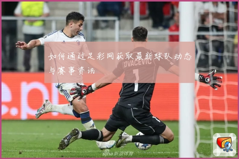如何通过足彩网获取最新球队动态与赛事资讯